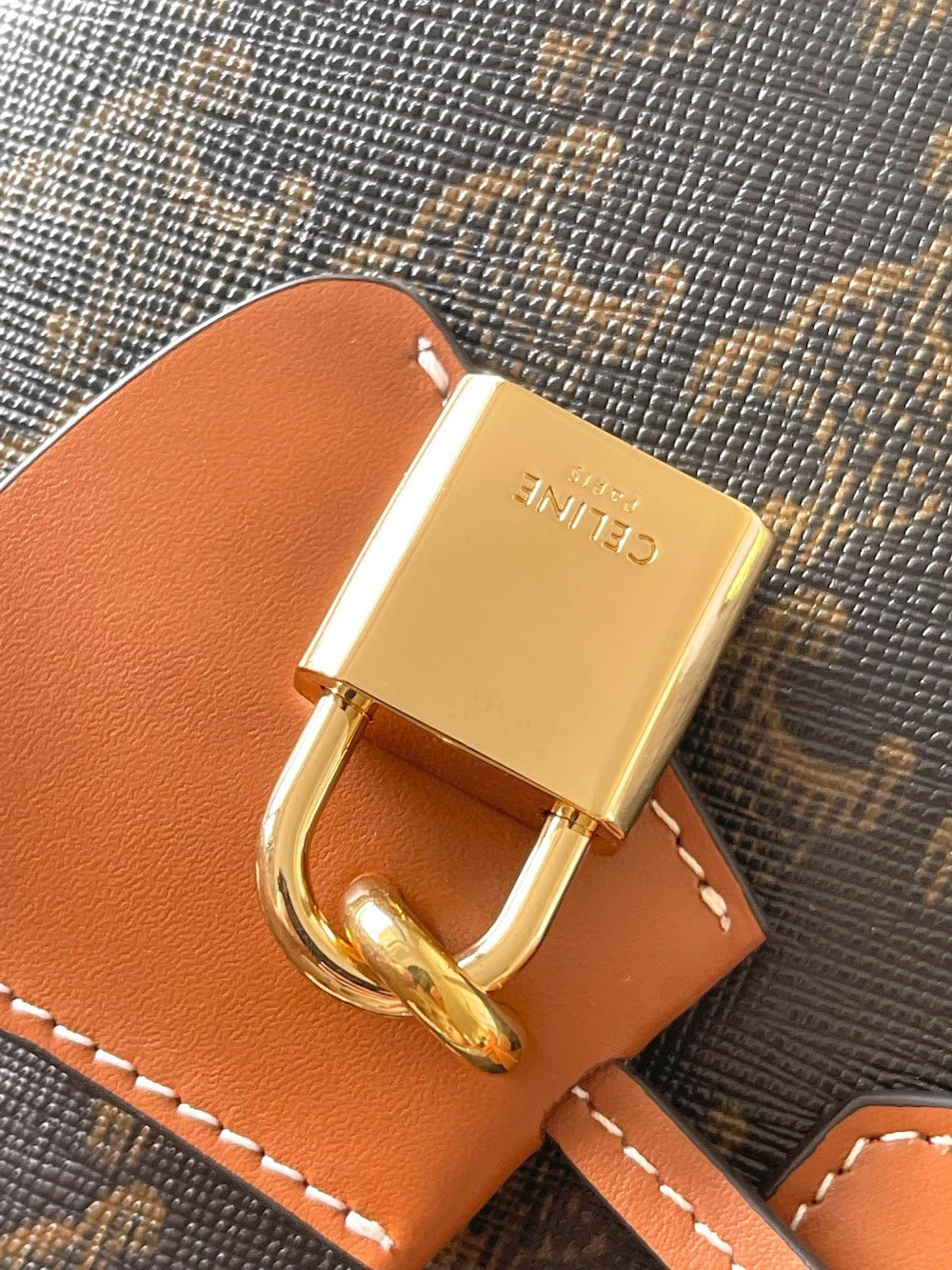 Dragons Bags Celine Luxury Bag --112367