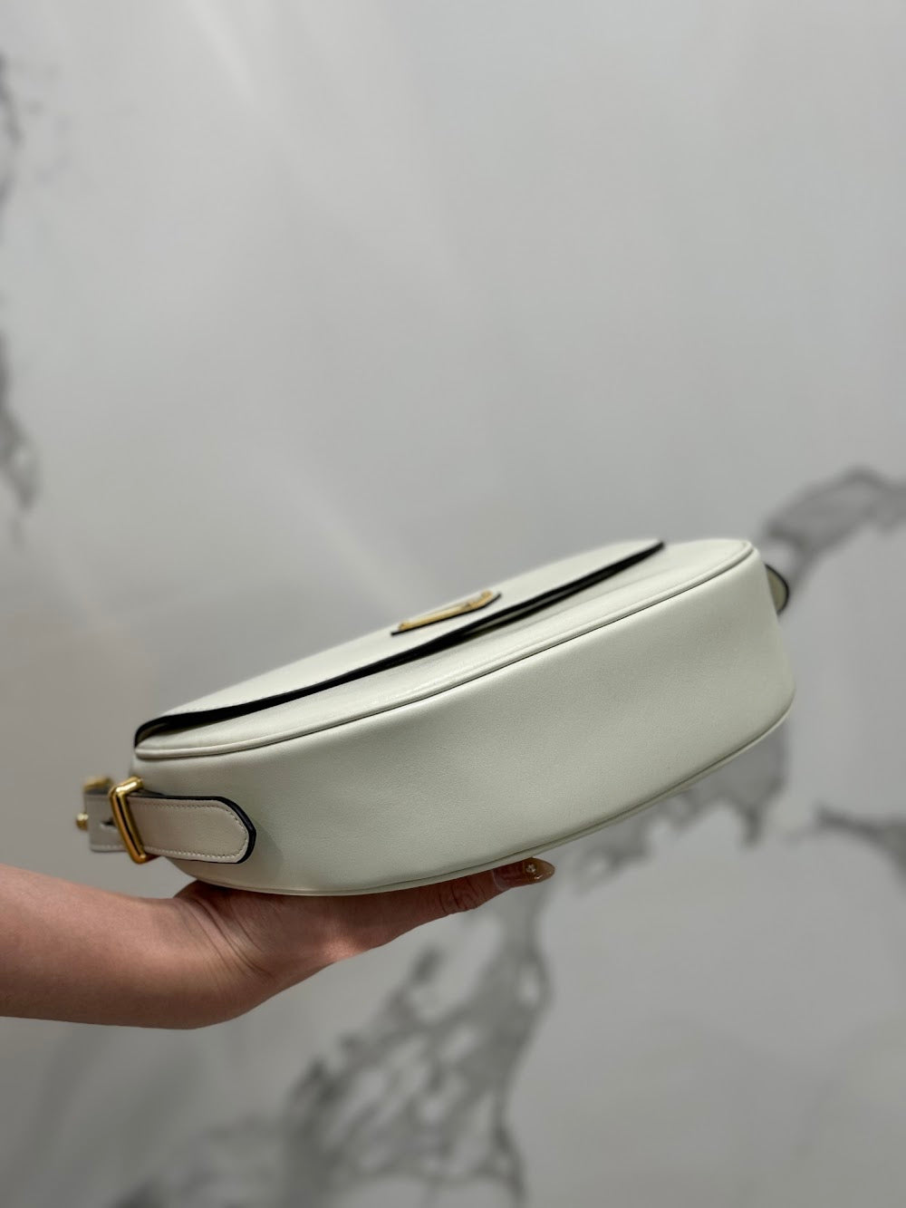 Dragons Bags Pradn Luxury Bag --102089