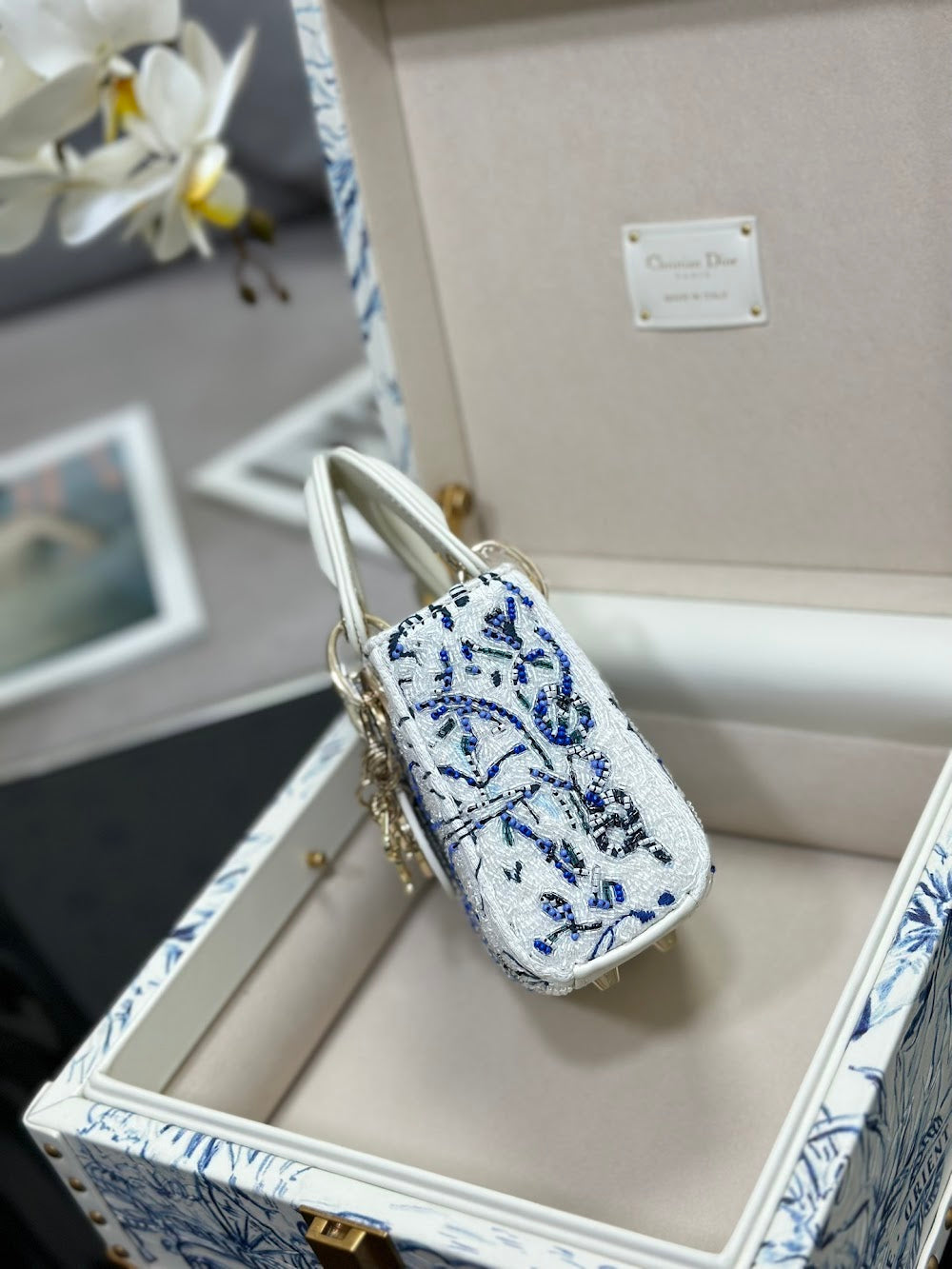 Dragons BagsDiorn Luxury Bag --114462