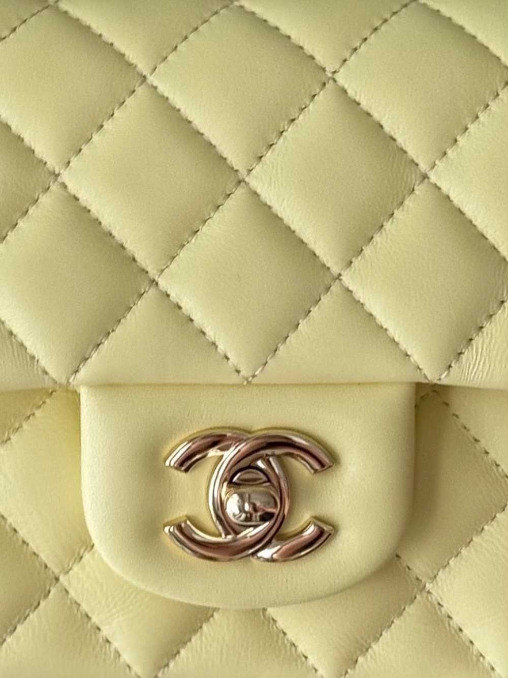 Dragons Bags CHn Luxury Bag --112996