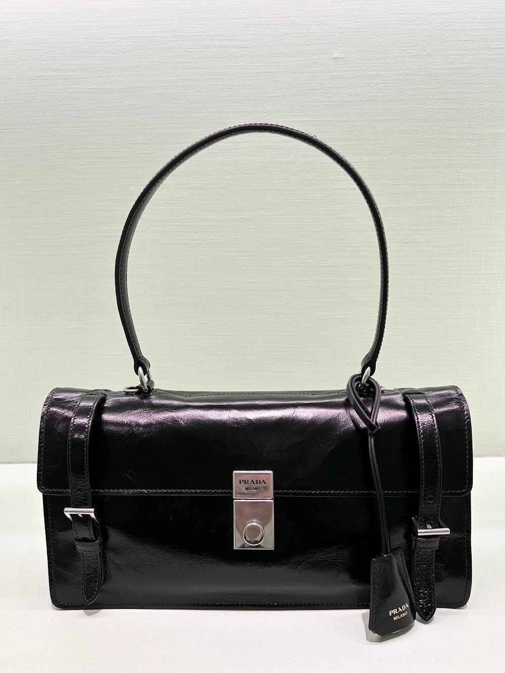 Dragons Bags Pradn Luxury Bag --102588
