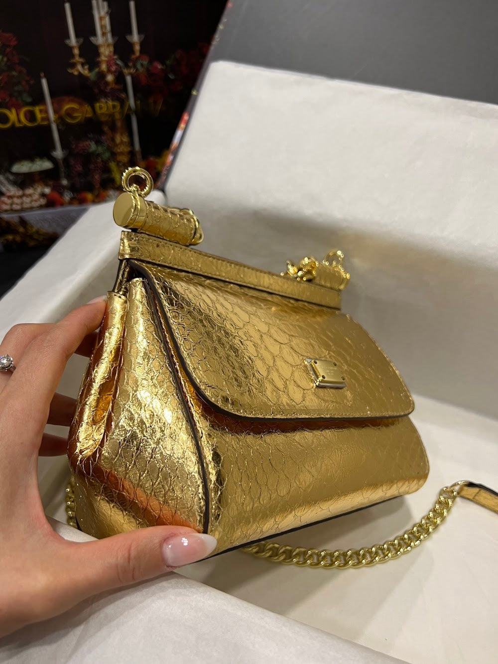 Dragons Bags DGn Luxury Bag --93286