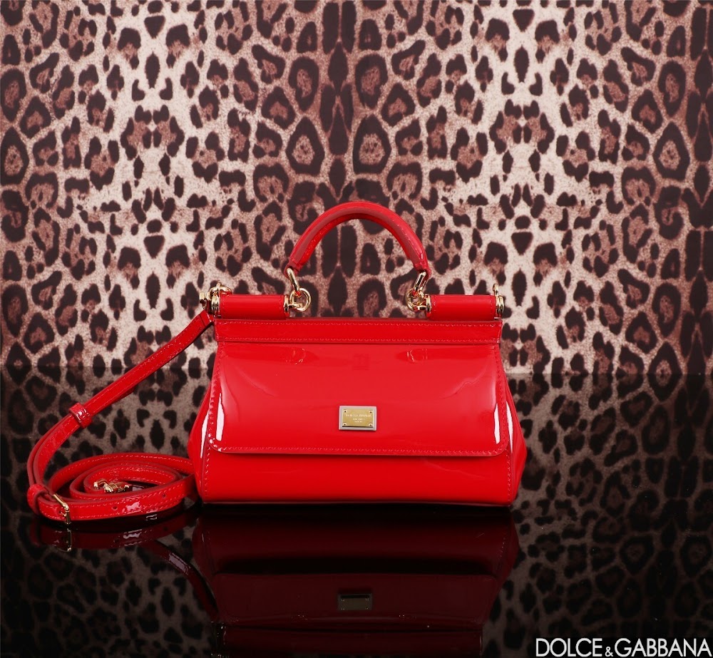 Dragons Bags DGn Luxury Bag --93637