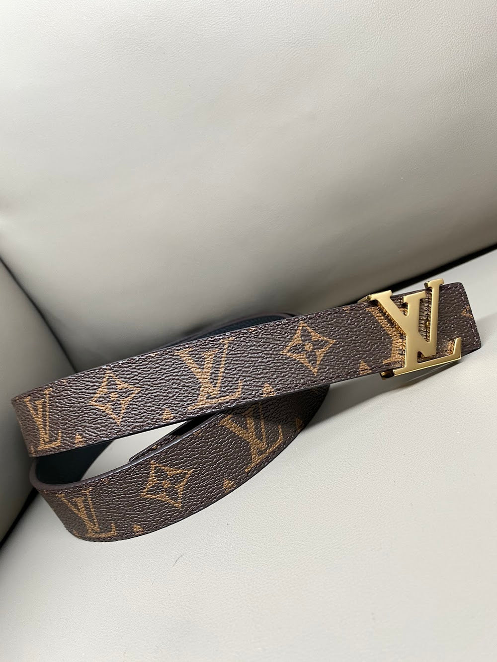 Dragons Bags ln Luxury Belt --109532