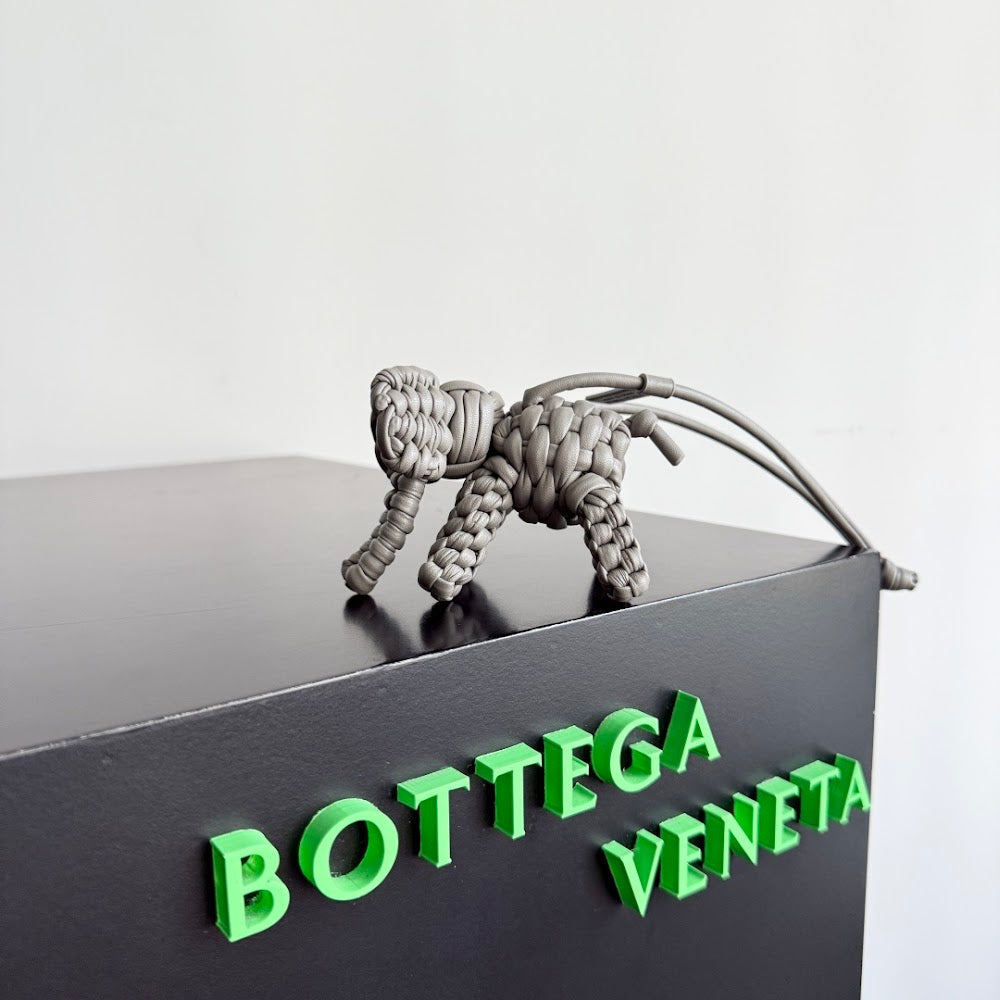 Dragons Bags Bottegan Luxury Bag --91461