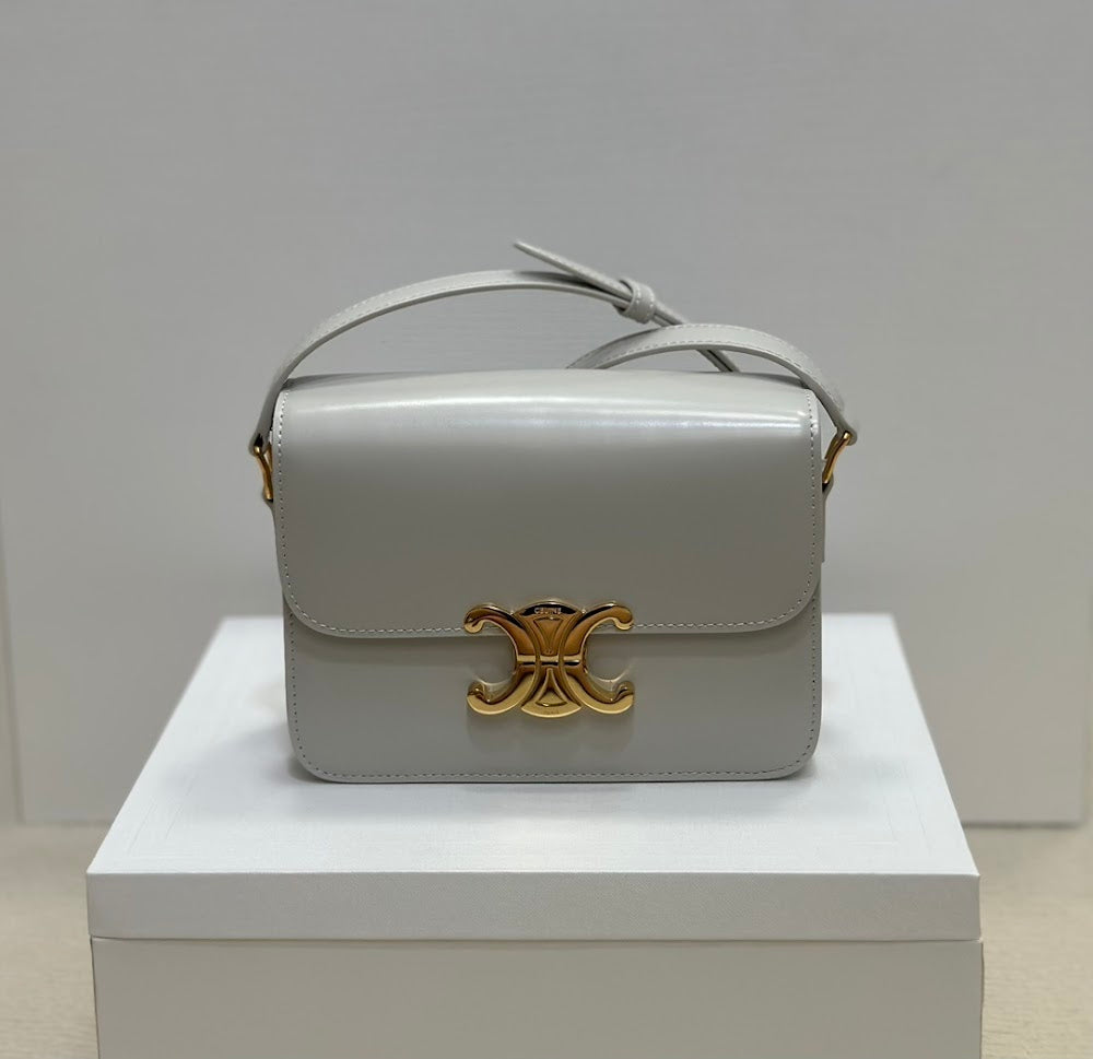 Dragons Bags Celine Luxury Bag --111998