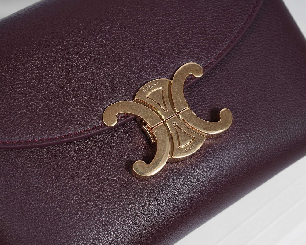 Dragons Bags Celine Luxury Bag --112333