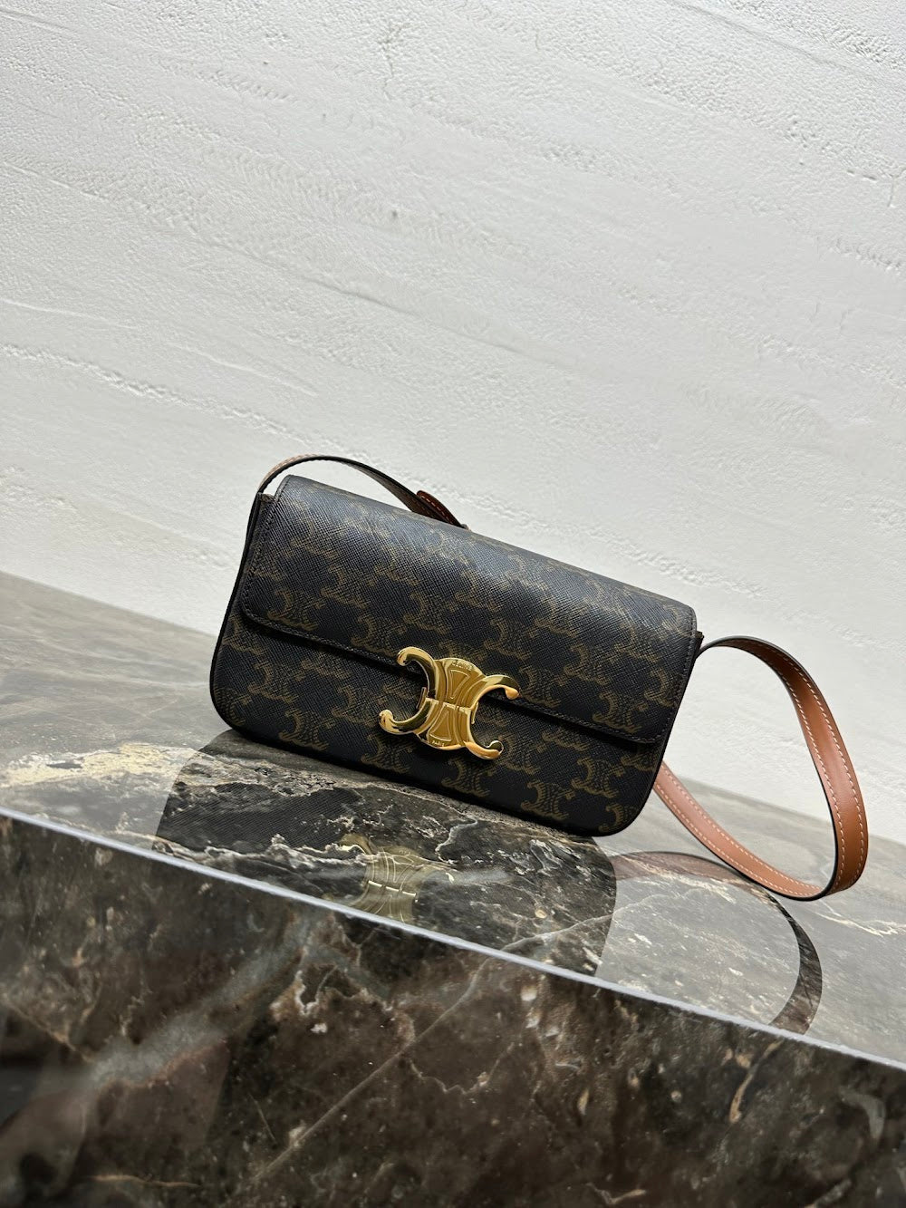 Dragons Bags Celine Luxury Bag --112428