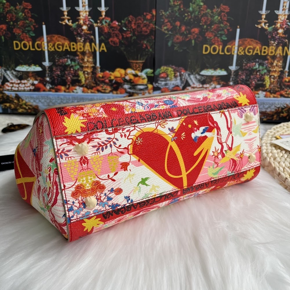 Dragons Bags DGn Luxury Bag --93560
