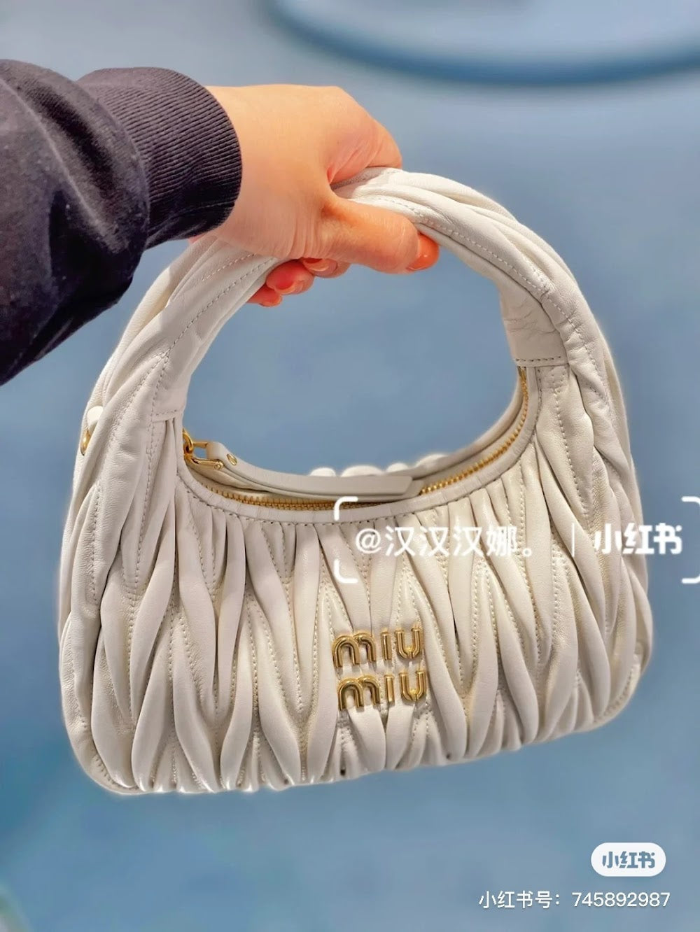 Dragons Bags Miun Miun Luxury Bag --122935