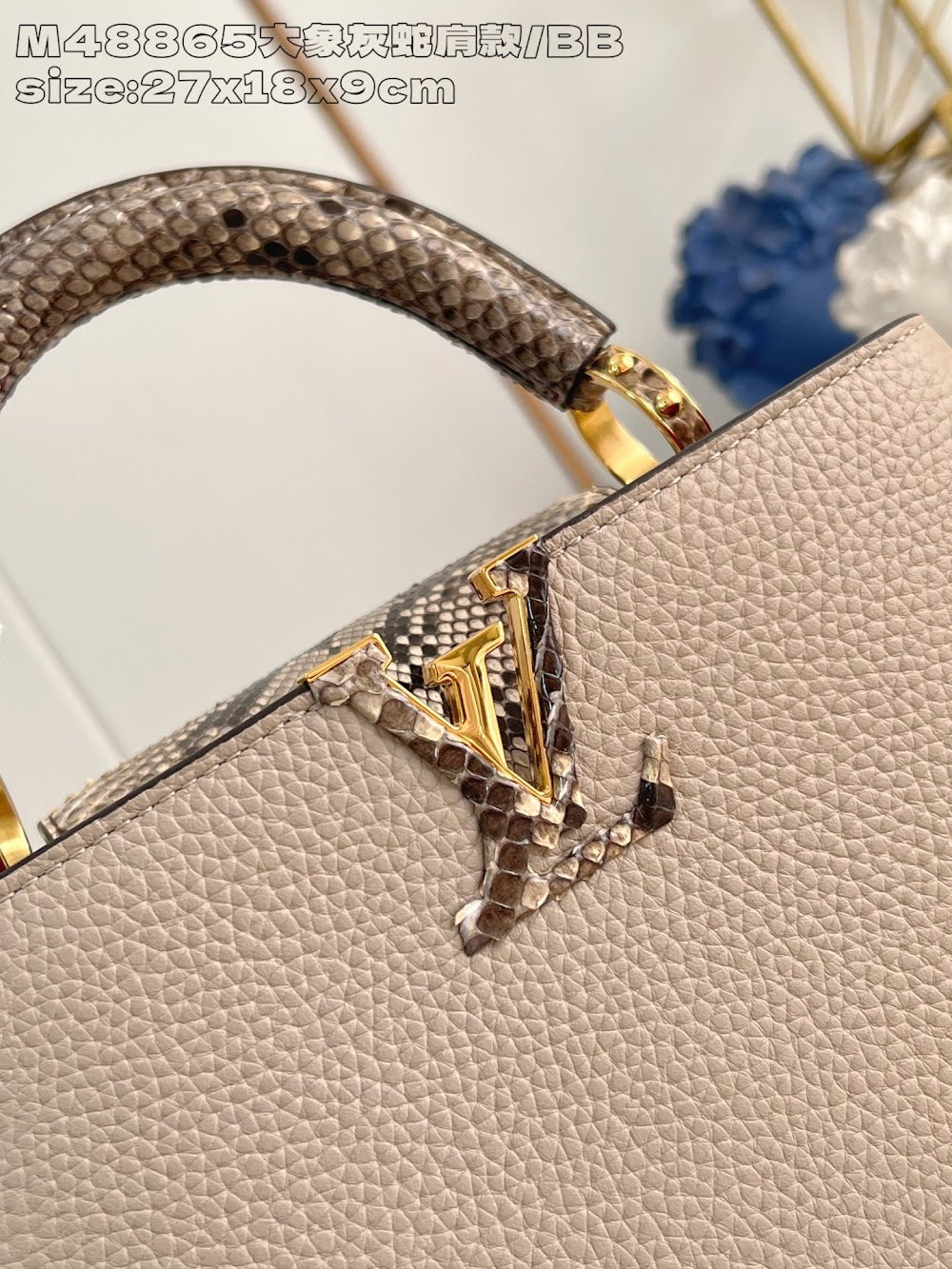 Dragons Bags ln Luxury Bag --95680