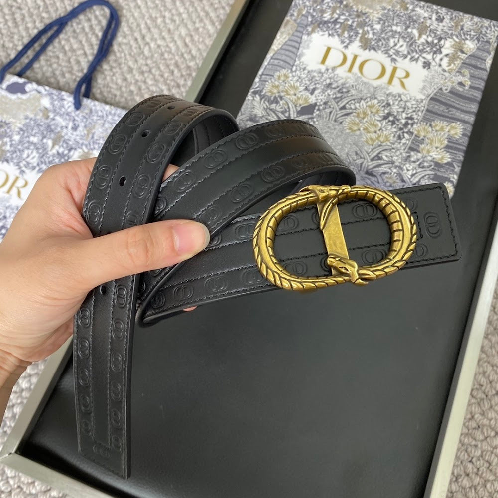 Dragons Bags Diorn Luxury Belt --105006