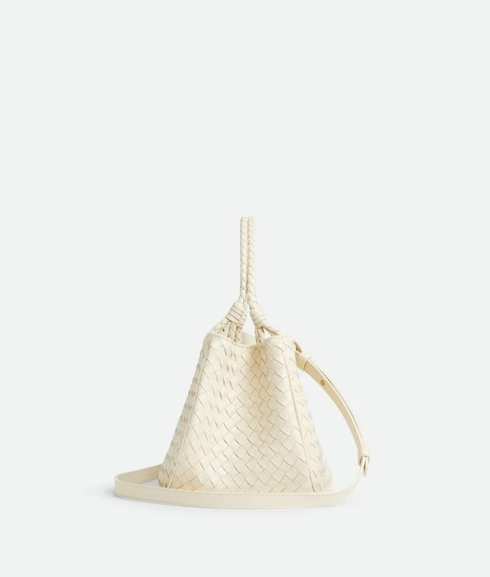 Dragons Bags Bottegan Luxury Bag --91485