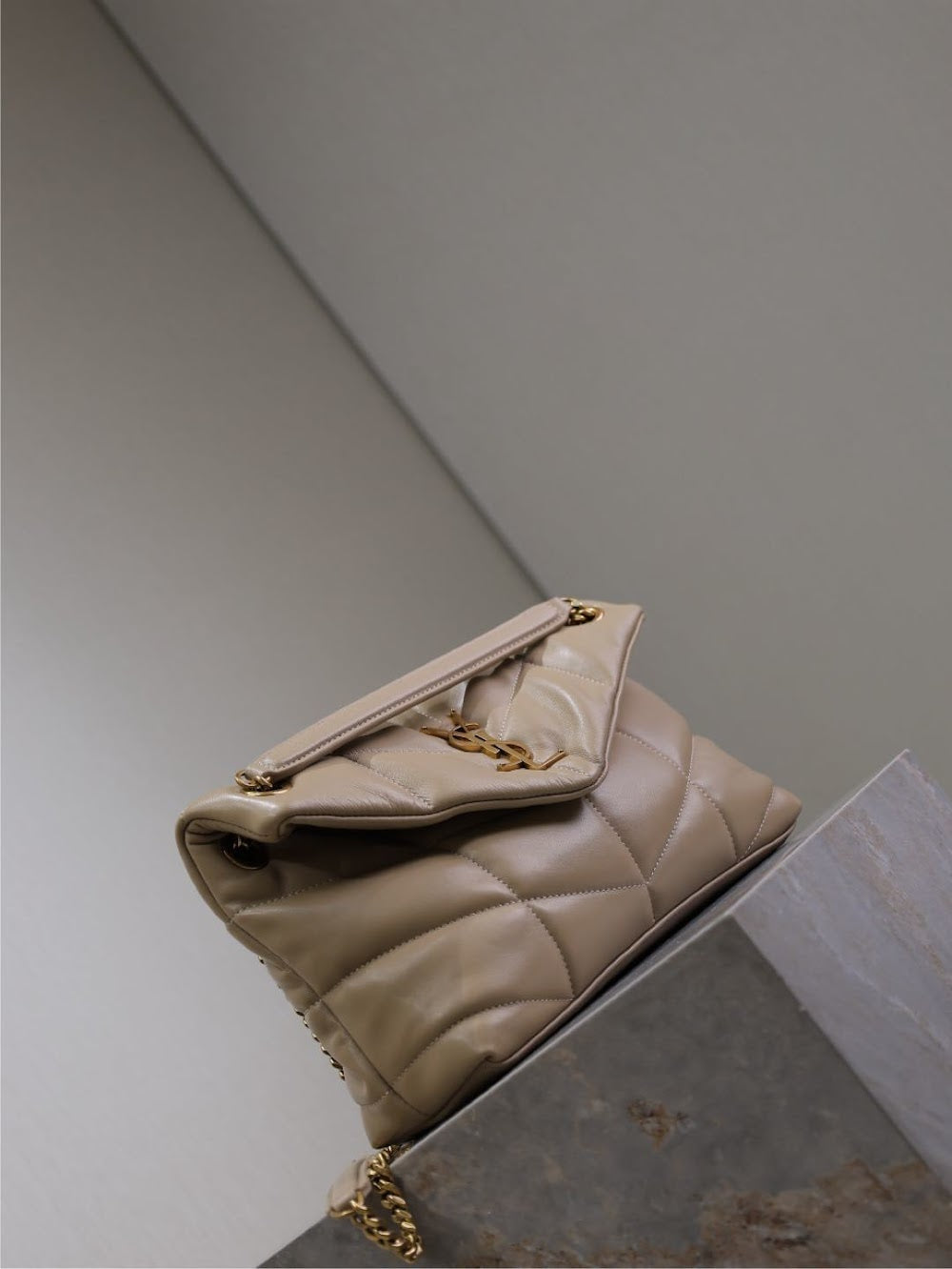 Dragons Bags YSLn Luxury Bag --119430