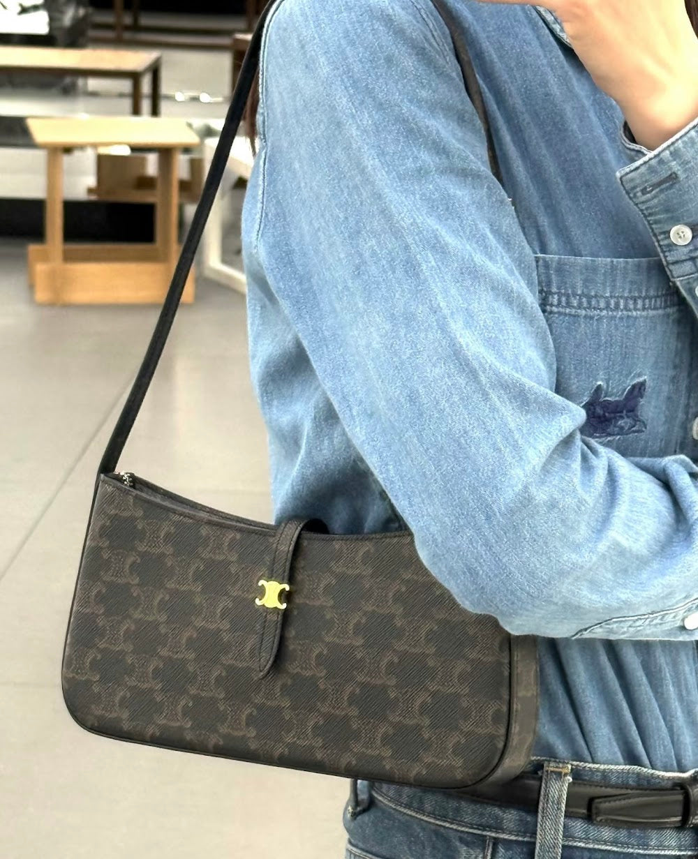 Dragons Bags Celine Luxury Bag --112546