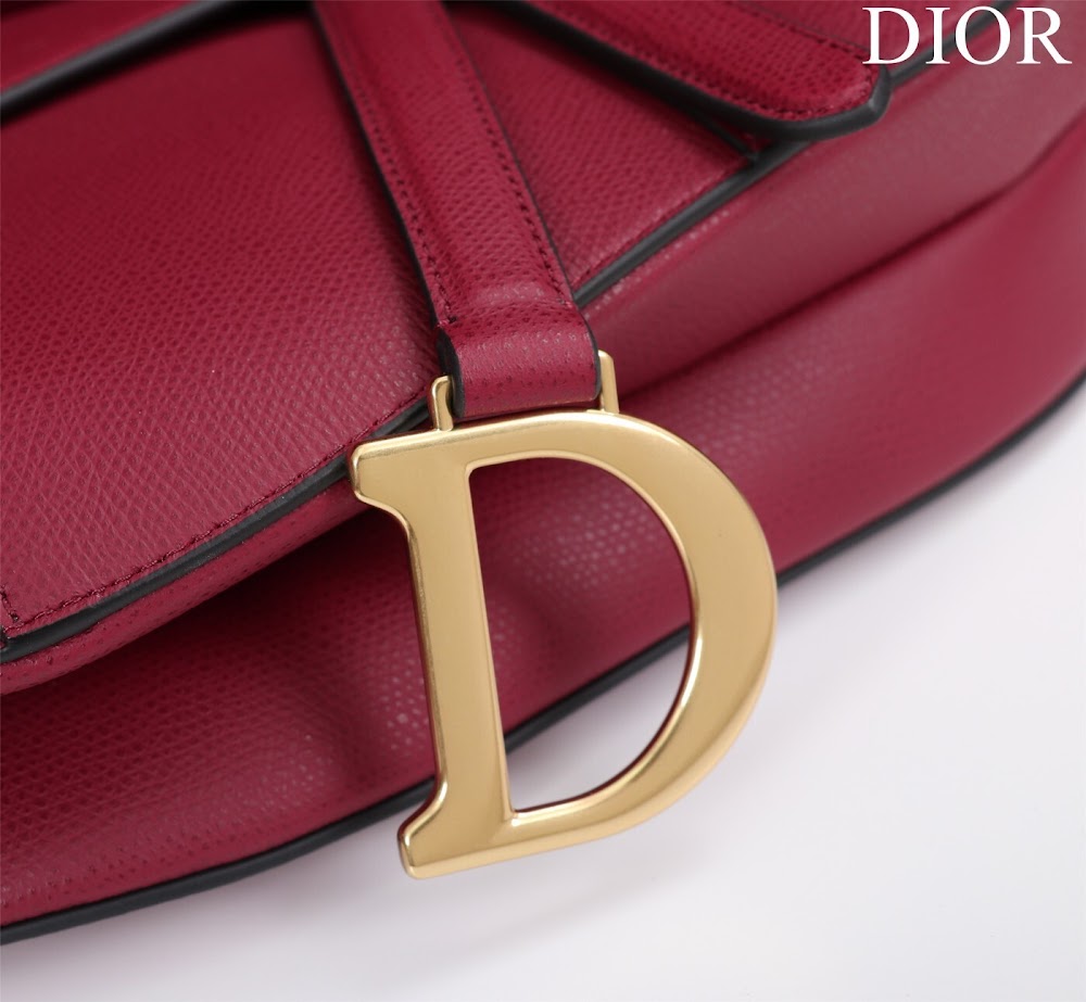 Dragons BagsDiorn Luxury Bag --116519