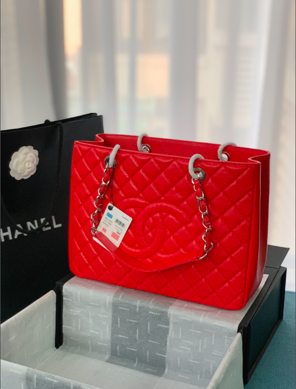 new-designer-premium-bags-nm10219