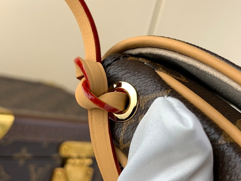 Dragons Bags ln Luxury Bag --61820