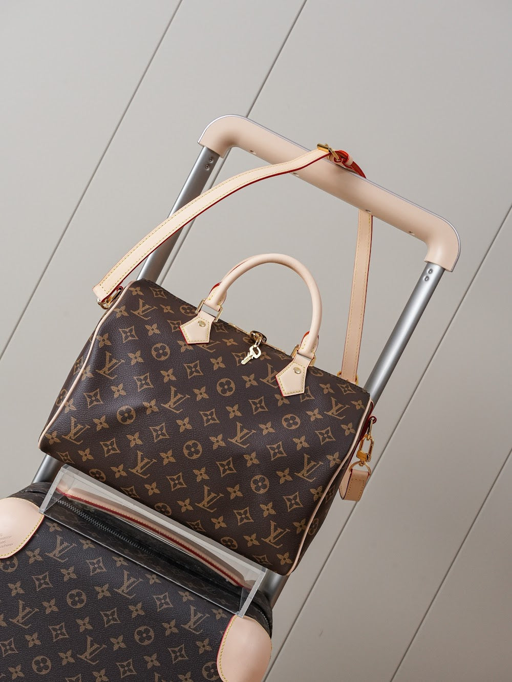 Dragons Bags LVn Luxury Bag --80742