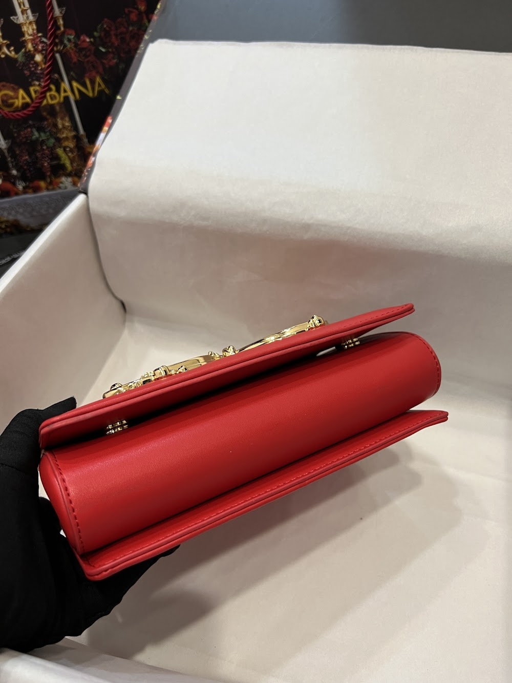 Dragons Bags DGn Luxury Bag --93877