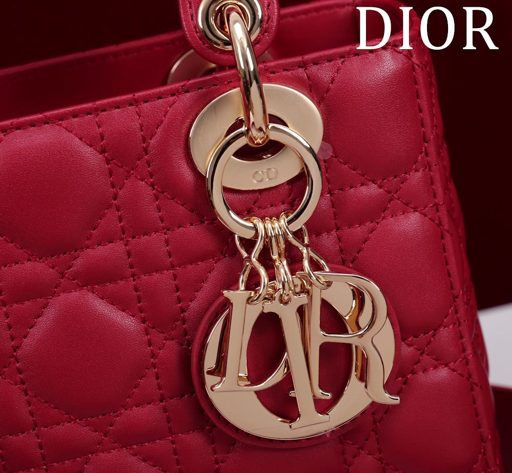 Dragons BagsDiorn Luxury Bag --115920