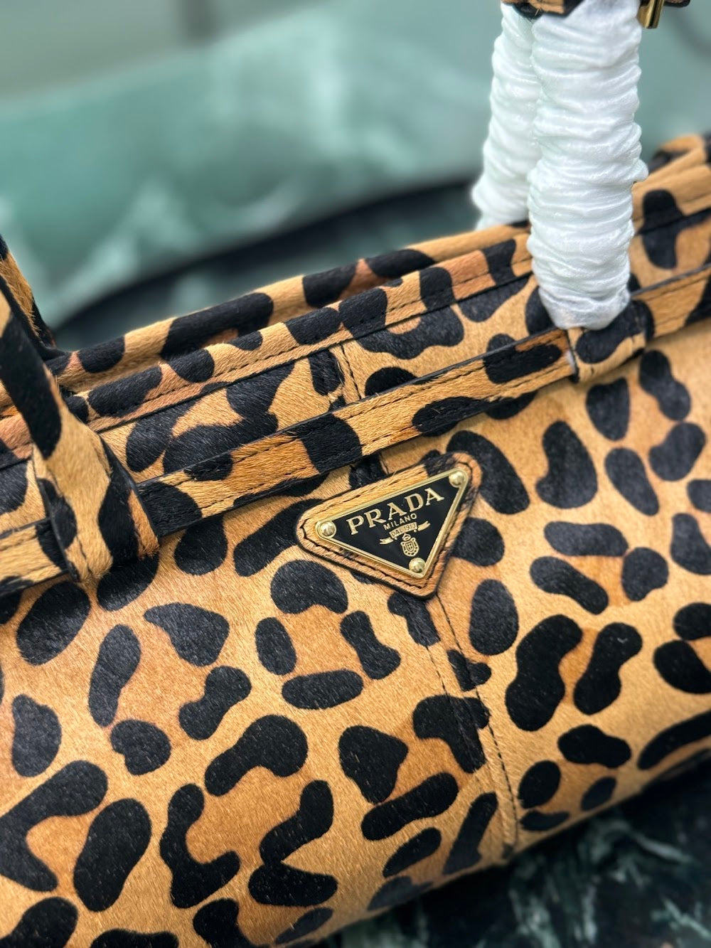 Dragons Bags Pradn Luxury Bag --101652
