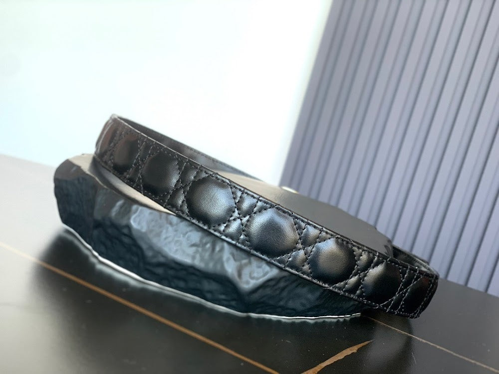 Dragons Bags Diorn Luxury Belt --104992