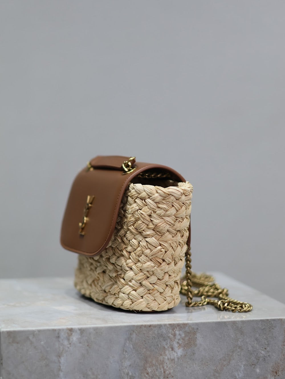 Dragons Bags YSLn Luxury Bag --120489