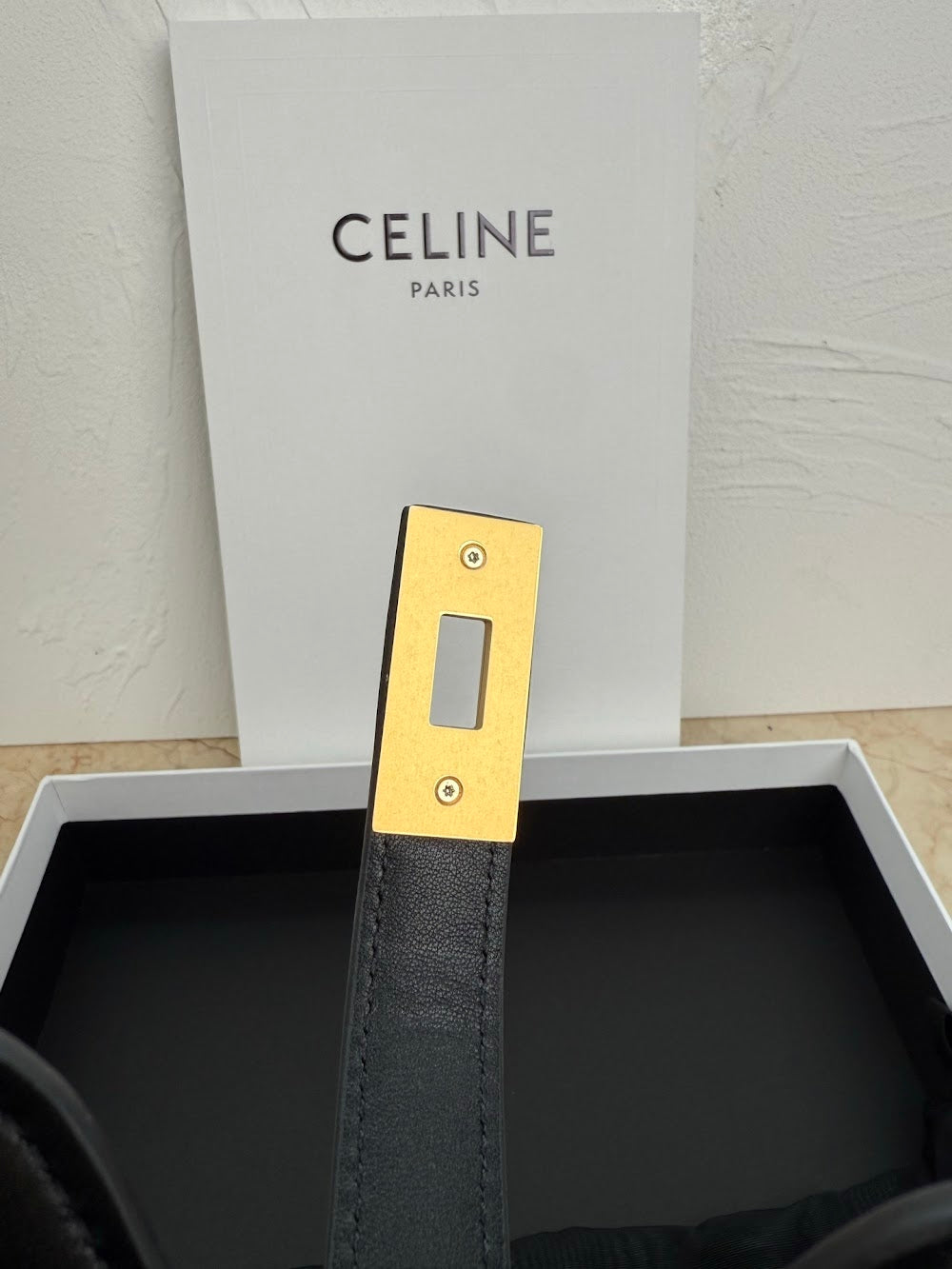 Dragons Bags Celine Luxury Bag --112435