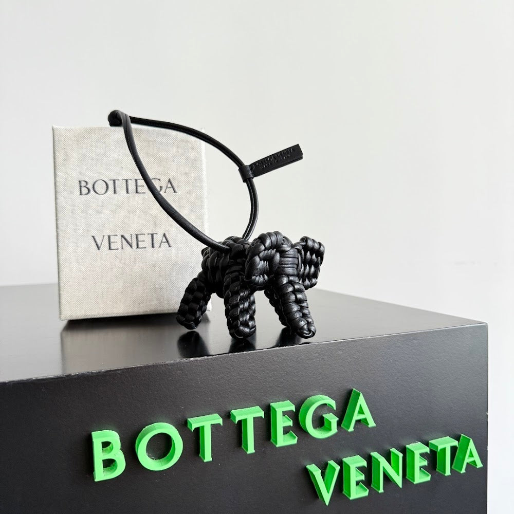 Dragons Bags Bottegan Luxury Bag --91456