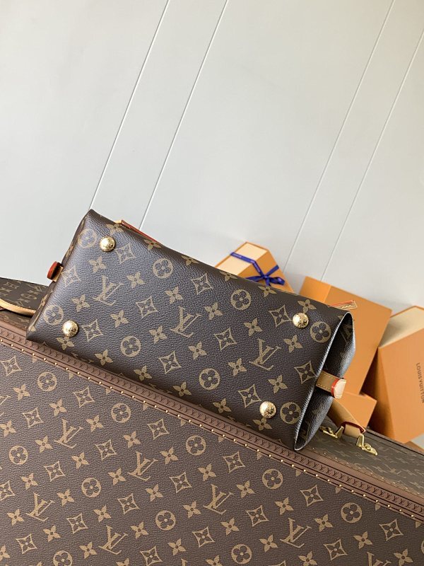 Dragons Bags LVn Luxury Bag --80451