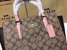 new-luxury-designer-bags-nm6370