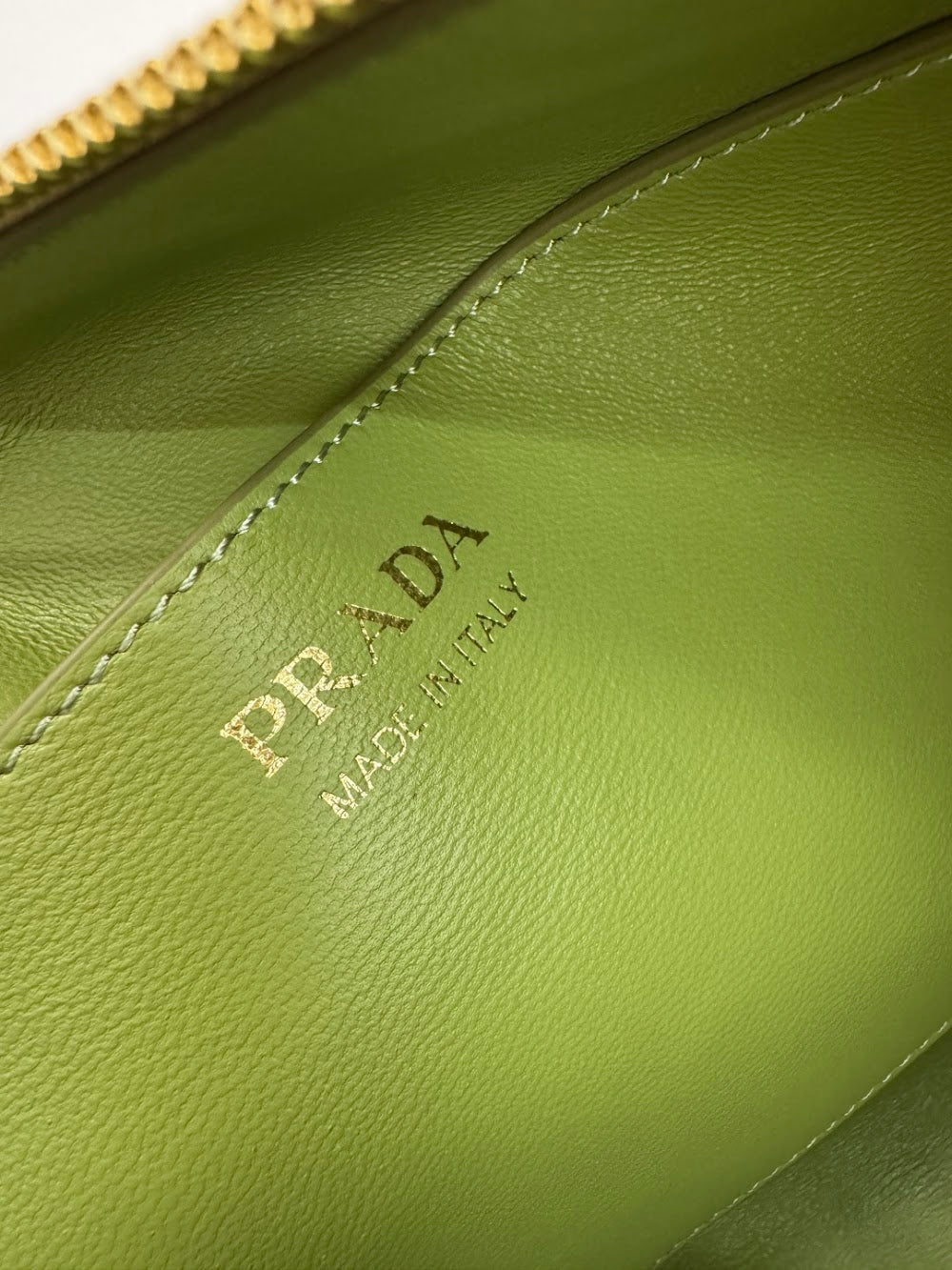 Dragons Bags Pradn Luxury Bag --102939