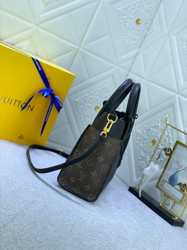 Dragons Bags LVn Luxury Bag --80848