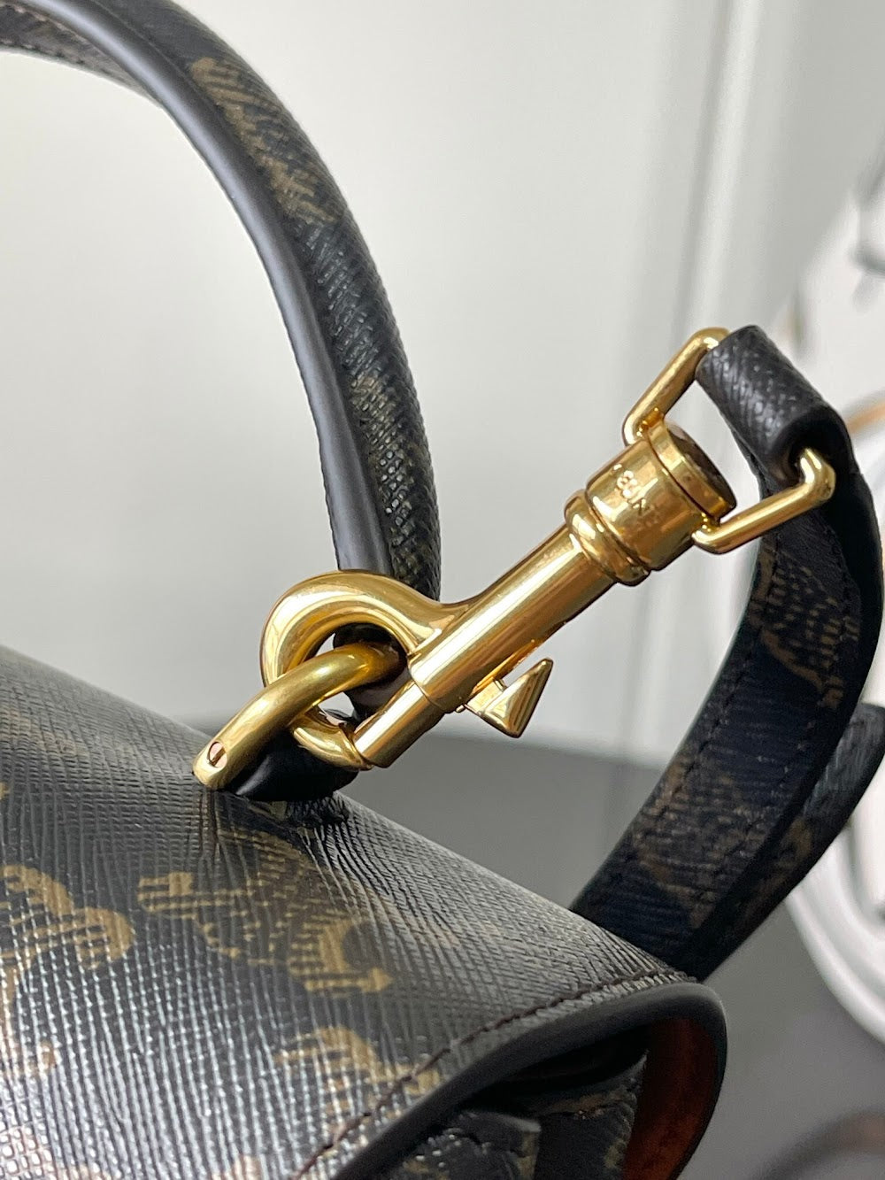 Dragons Bags Celine Luxury Bag --112358