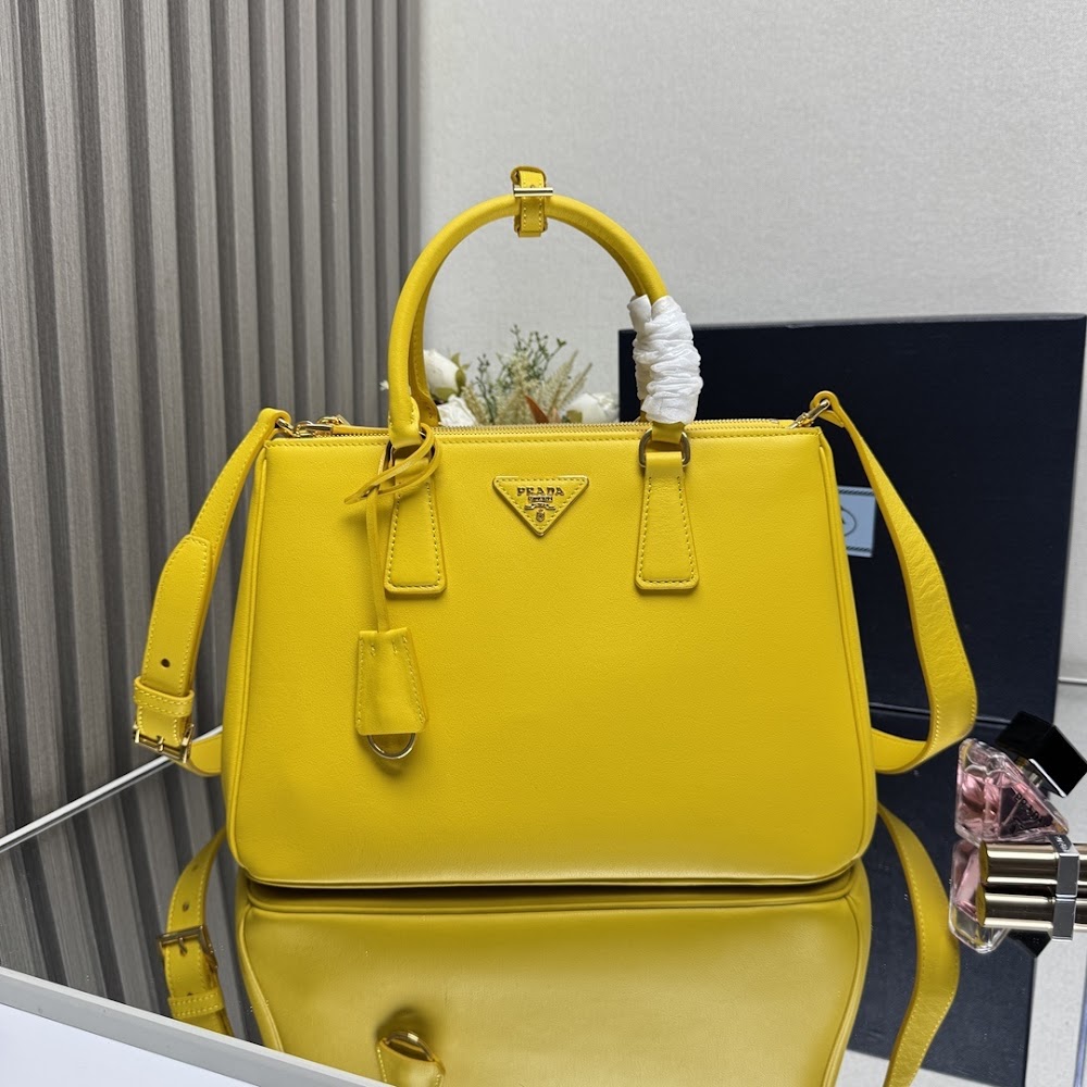 Dragons Bags Pradn Luxury Bag --102717