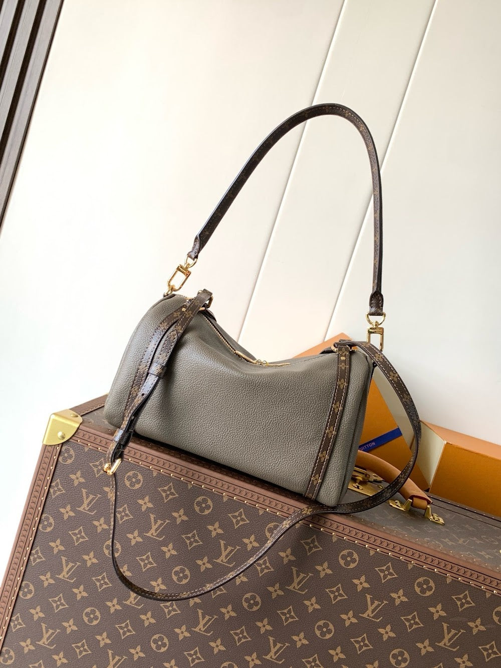 Dragons Bags ln Luxury Bag --81774