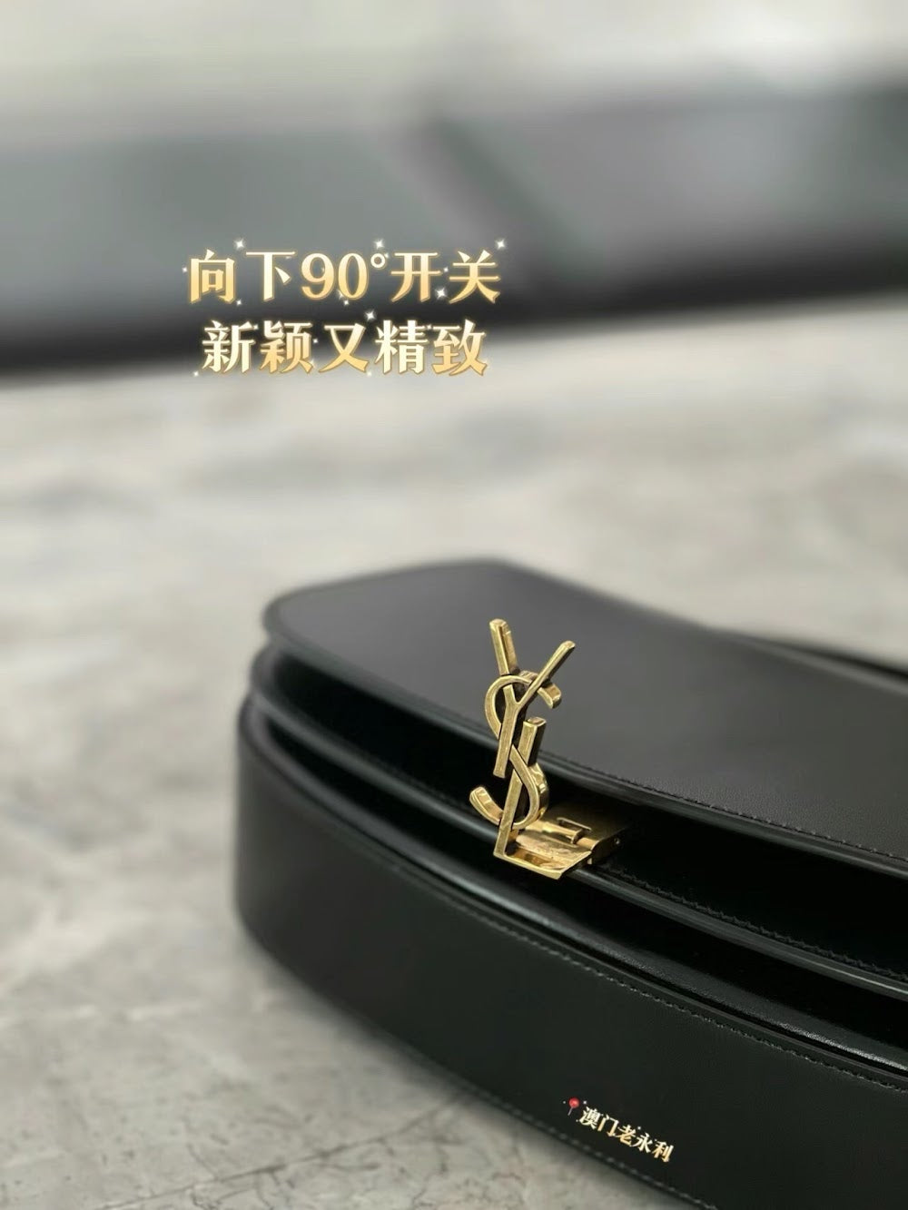 Dragons Bags YSLn Luxury Bag --119101