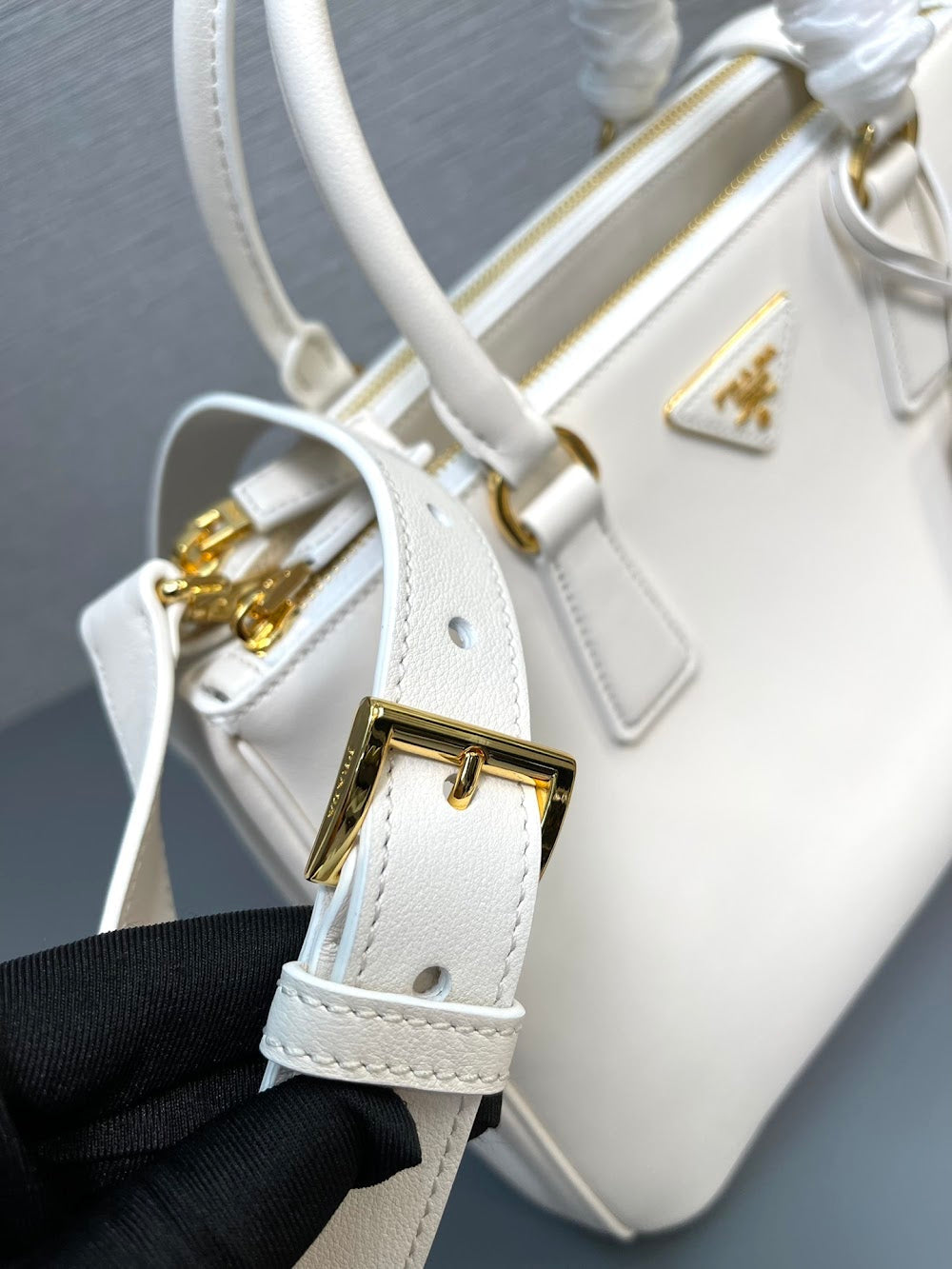 Dragons Bags Pradn Luxury Bag --102711