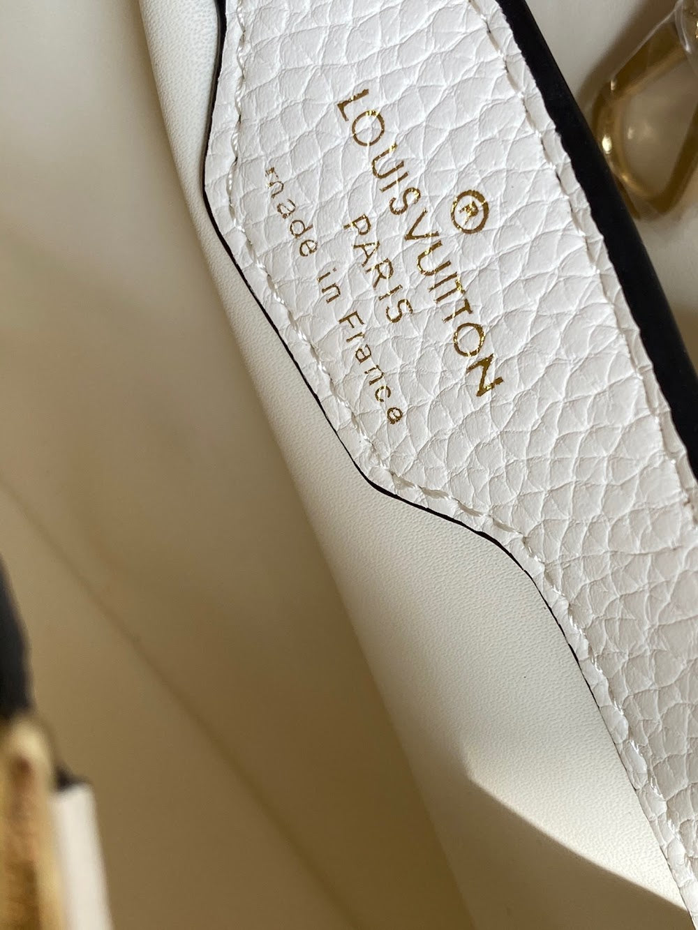 Dragons Bags ln Luxury Bag --78050
