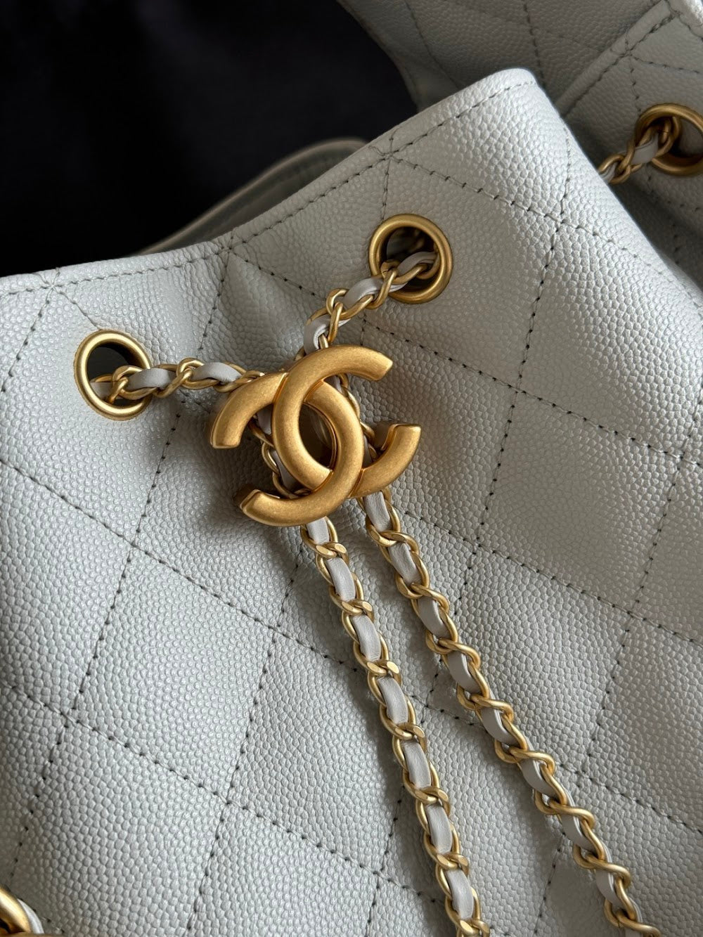 Dragons BagsCHn Luxury Bag --113770