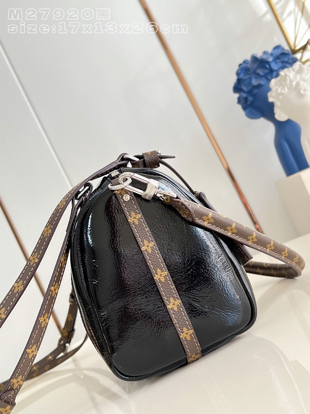 Dragons Bags ln Luxury Bag --95836