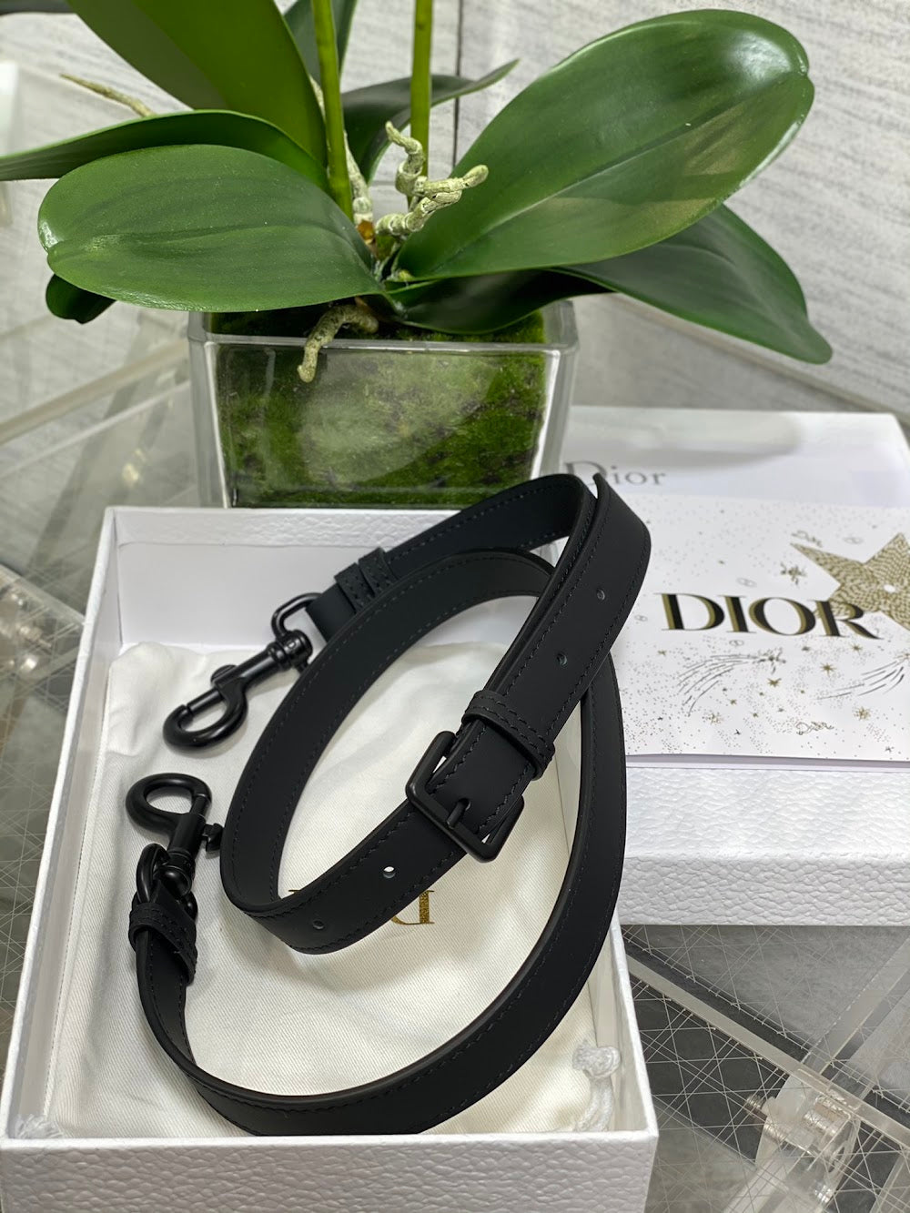 Dragons BagsDiorn Luxury Bag --115007