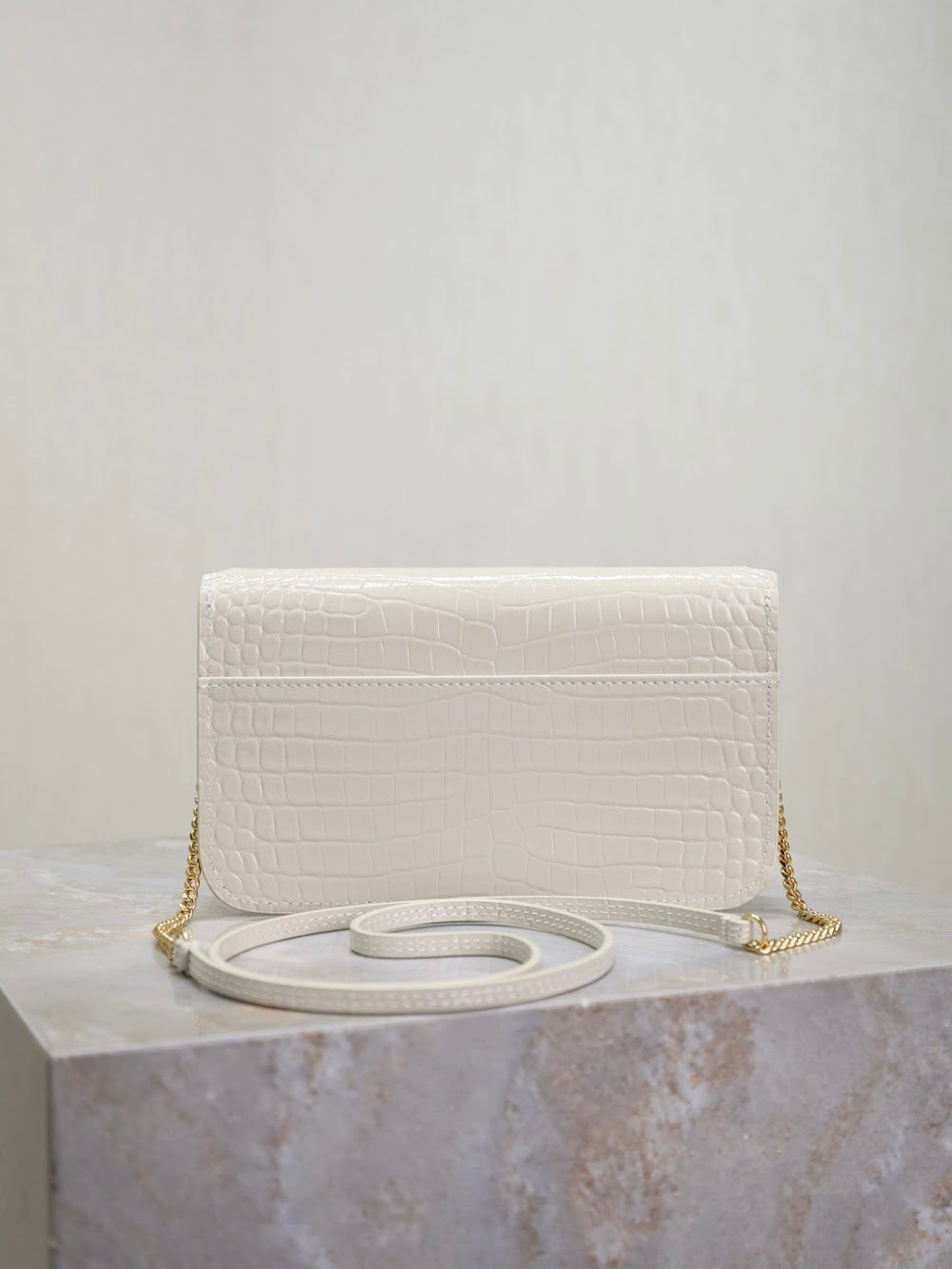 Dragons Bags YSLn Luxury Bag --120475