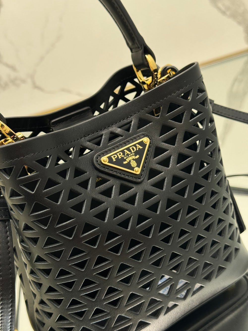 Dragons Bags Pradn Luxury Bag --101620