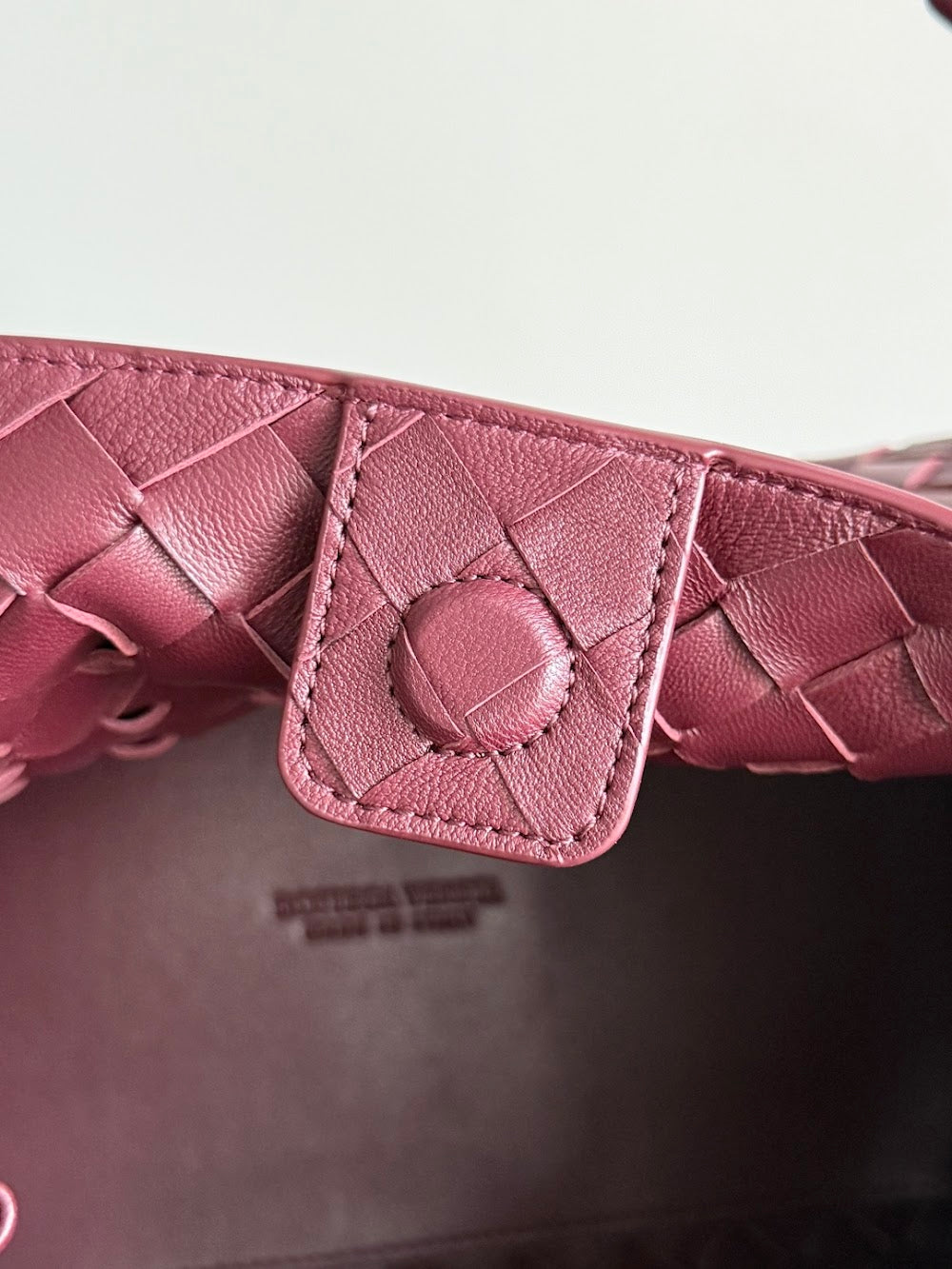 Dragons Bags Bottegan Luxury Bag --91384