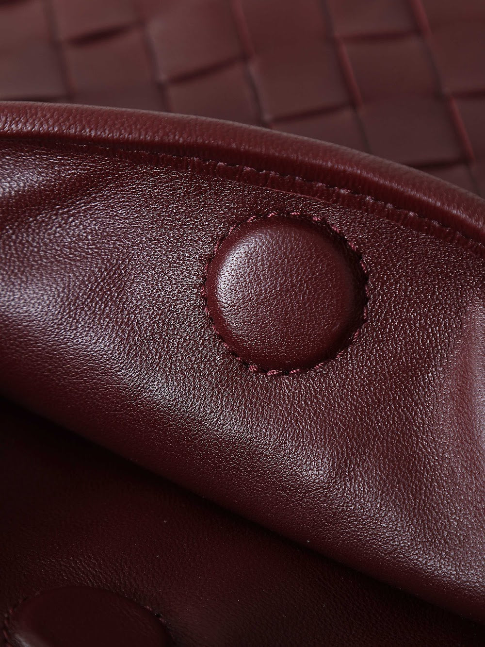 Dragons Bags Bottegan Luxury Bag --91289