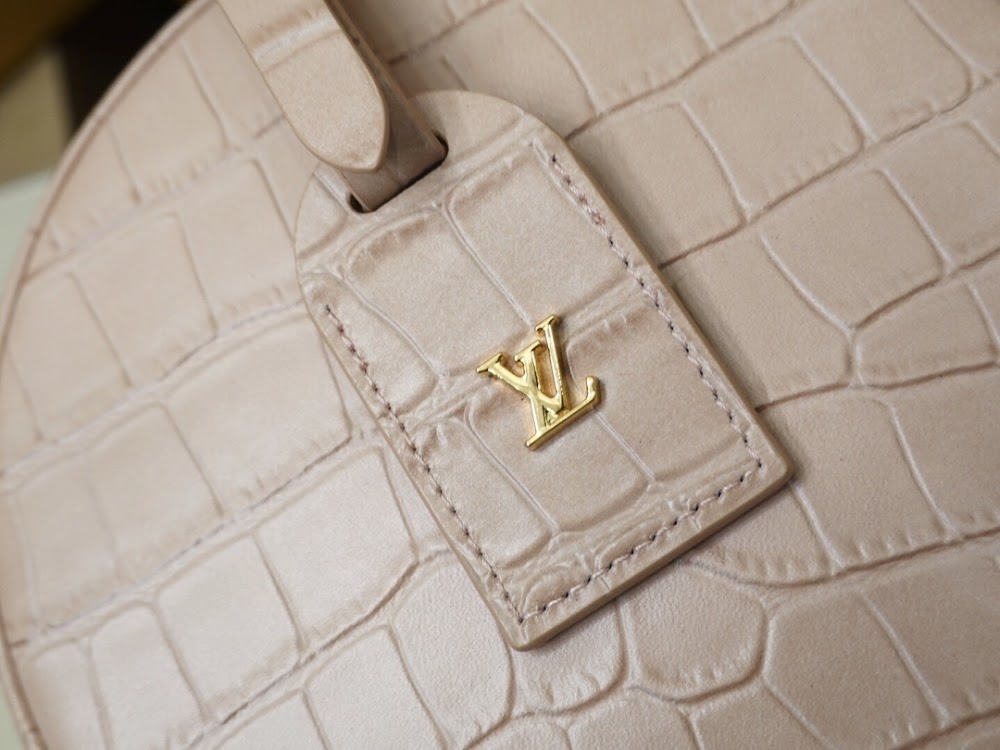 Dragons Bags ln Luxury Bag --66555