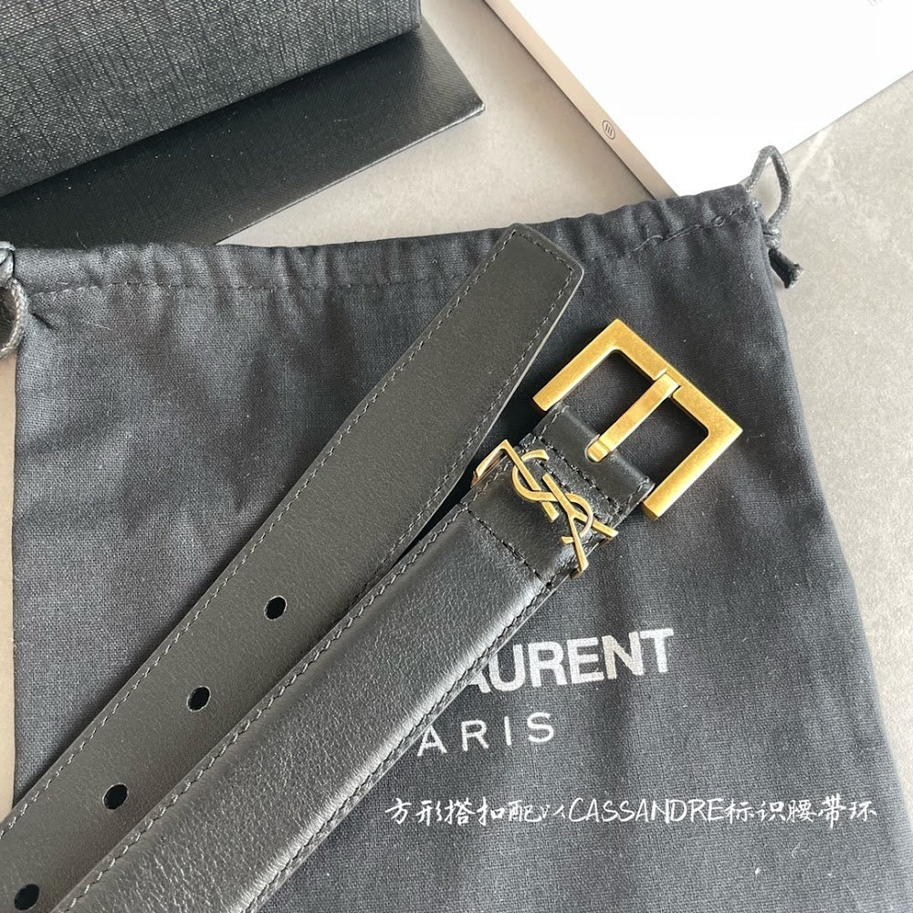 Dragons Bags YSLn Luxury Belt --110410