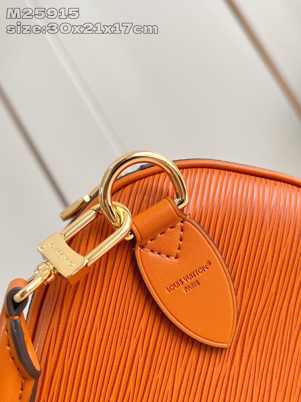 Dragons Bags ln Luxury Bag --95736